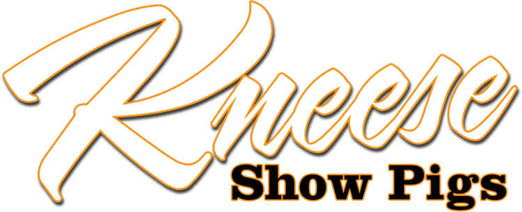 Kneese Show Pigs